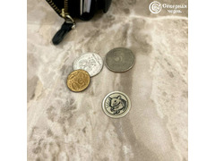 Серебряная монета сувенирная «Кошельковая мышь» Мышка и кошелек
